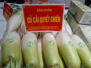 Củ cải Quyết Chiến